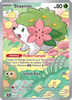 Deck cover card 2